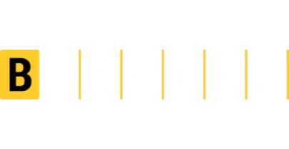 partners who work with lvibet