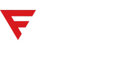 partners who work with lvibet