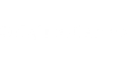 partners who work with lvibet