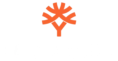 partners who work with lvibet